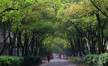 林蔭大道